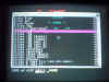ScreenShot3.jpg (64665 bytes)
